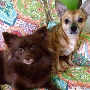 Meet your Posher, Dana